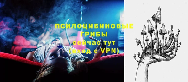 твердый Алзамай